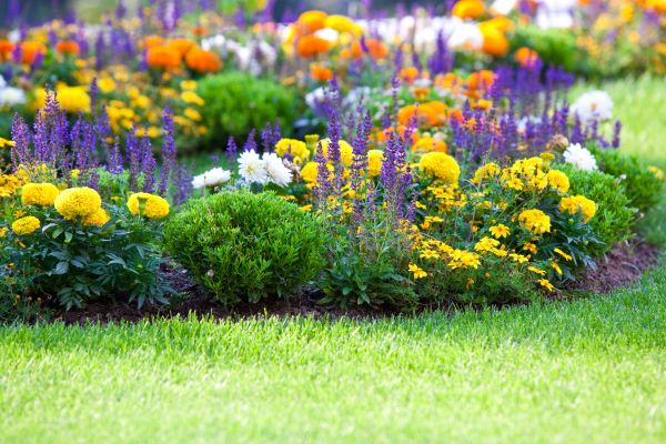 Flower Bed Maintenance in Kaysville