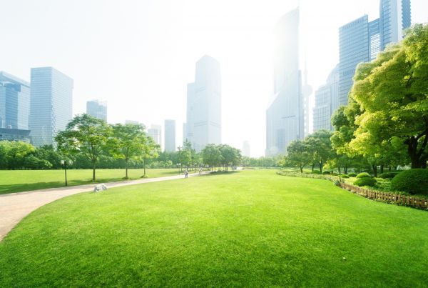 Commercial Landscape Maintenance in Kaysville