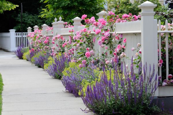 Garden Handyman Service in Kaysville