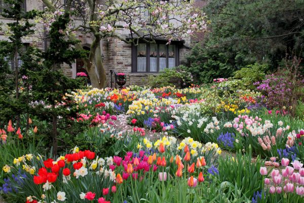 Garden Maintenance Service in Kaysville