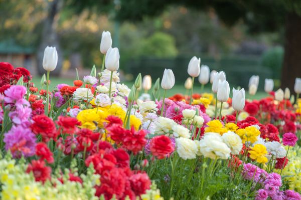 Gardening Service in Kaysville