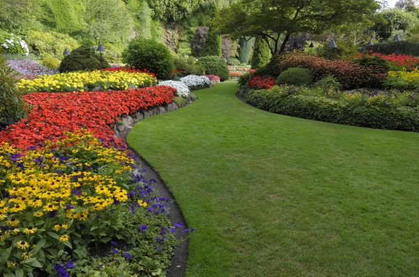Landscaping Maintenance in Kaysville