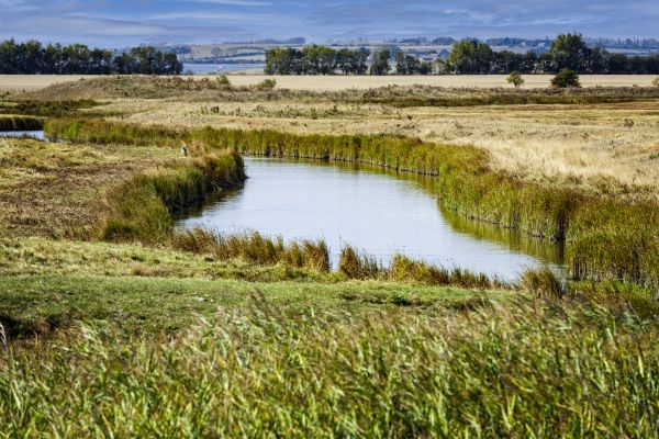 Swale Landscaping in Kaysville