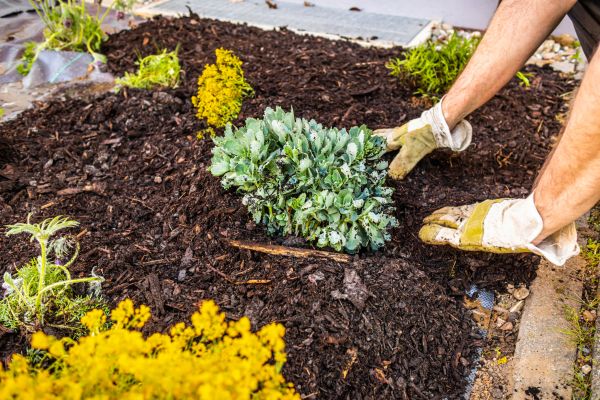 Weeding And Mulching in Kaysville