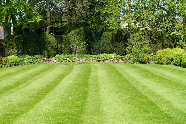 Lawn Renovation in Kaysville