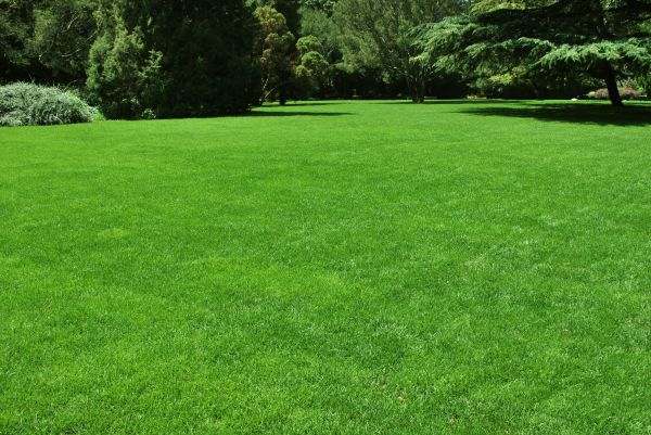 Lawn Landscaping in Kaysville