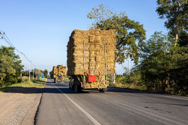 Pine Straw Delivery in Kaysville