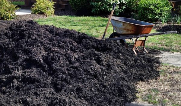 Black Mulch Delivery in Kaysville