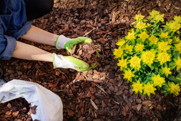 Garden Mulching in Kaysville