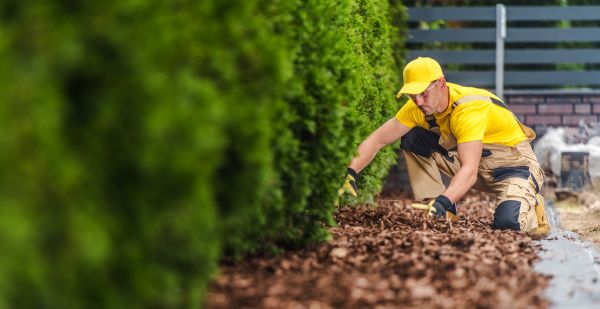 Cypress Mulch Installation in Kaysville