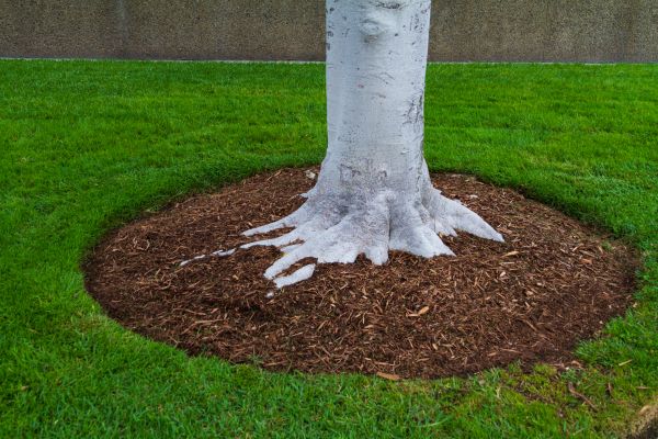 Brown Mulch Installation in Kaysville