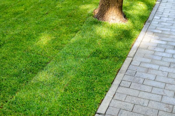 Border Stone Installation in Kaysville