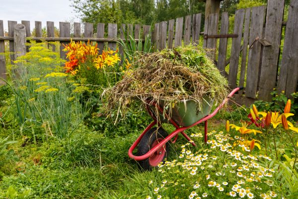 Garden Cleanup Service in Kaysville