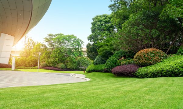 Business Landscape Design in Kaysville