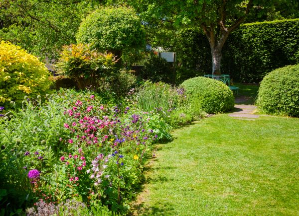 Yard Landscaping Service in Kaysville