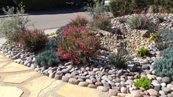 Xeriscape Landscaping in Kaysville