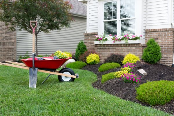 Tree And Shrub Planting in Kaysville