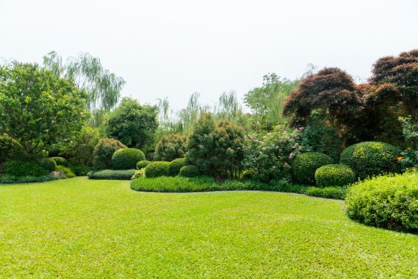 Tree Landscaping in Kaysville
