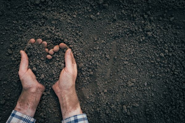 Soil Installation in Kaysville