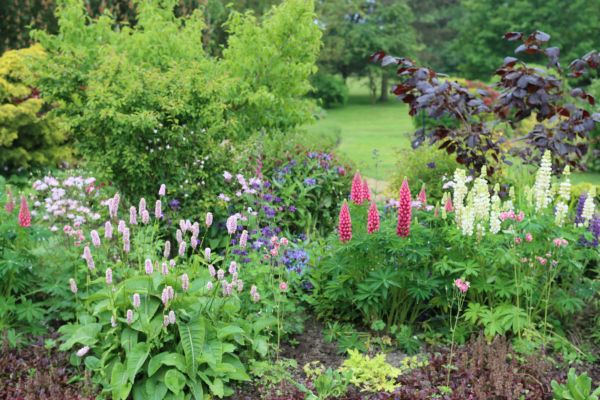 Flower Bed Planting in Kaysville