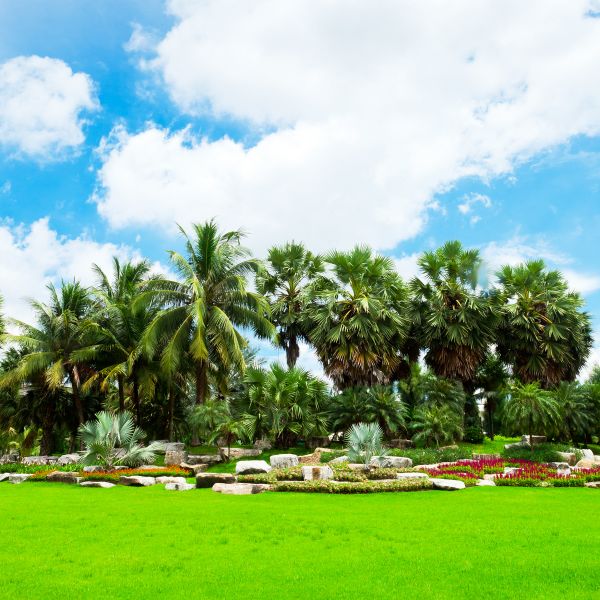 Tropical Landscaping in Kaysville