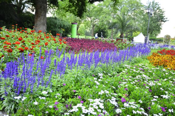 Perennials Planting in Kaysville