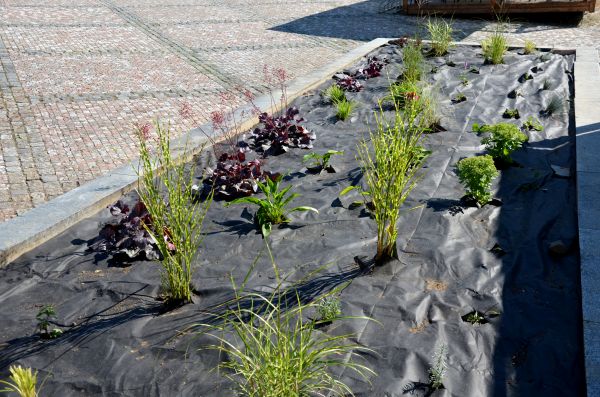 Landscape Fabric Installation in Kaysville