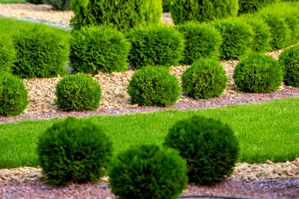 Bush Installation in Kaysville