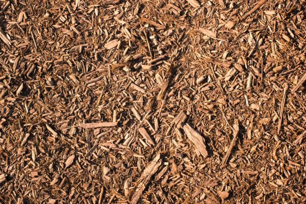 Wood Chips Removal in Kaysville