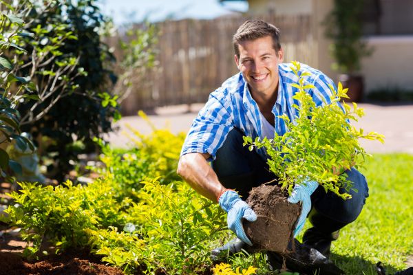 Shrub Landscaping in Kaysville