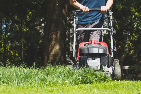 Garden Trimming Service in Kaysville