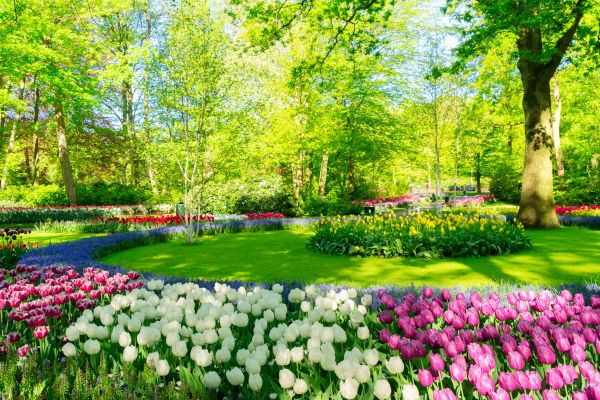 Flower Landscaping in Kaysville