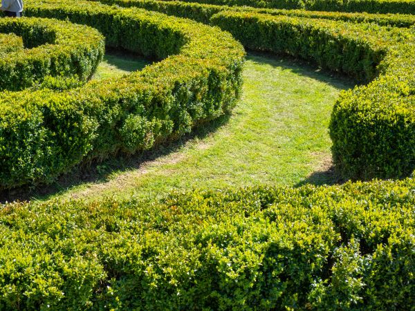 Bush Landscaping in Kaysville