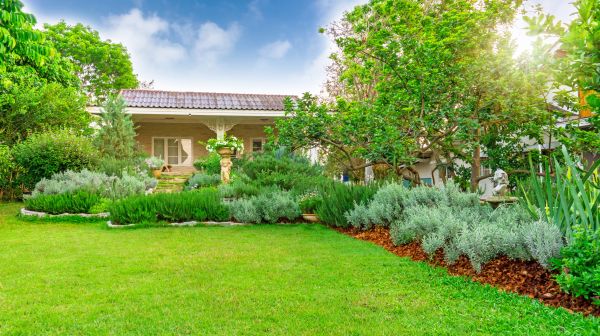 Greenery Planting in Kaysville