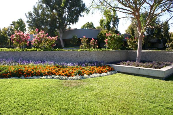 Commercial Landscape Service in Kaysville