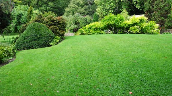 Commercial Landscape Design in Kaysville