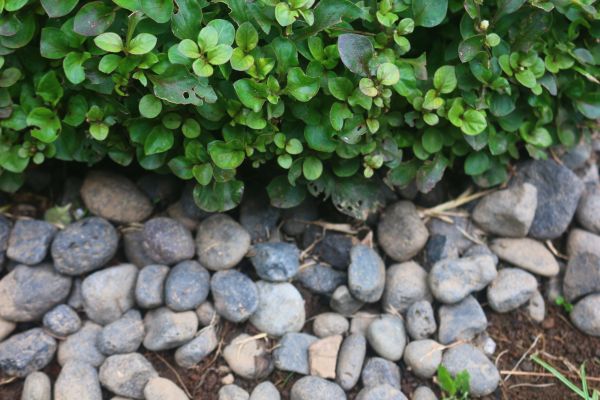 River Stone Installation in Kaysville