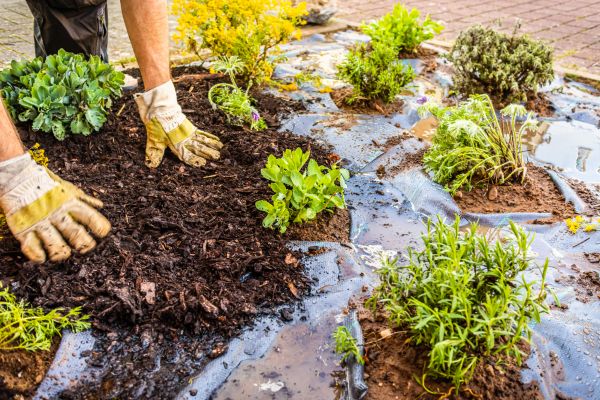 Mulch Fabric Installation in Kaysville