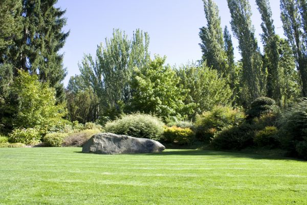 Yard Enlargement in Kaysville