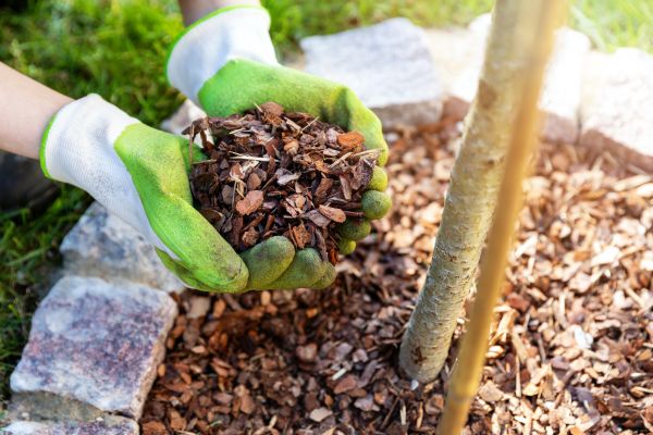 Tree Bark Delivery in Kaysville
