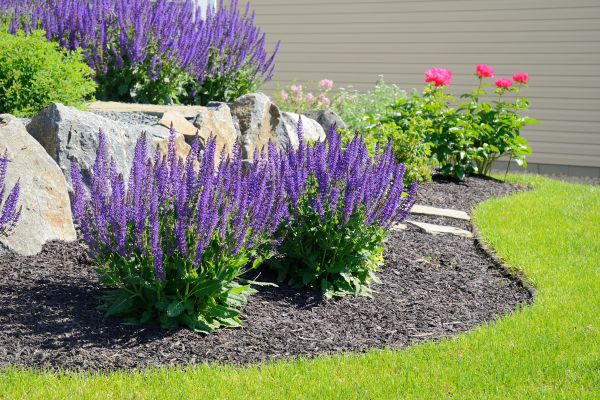Landscape Planting Service in Kaysville