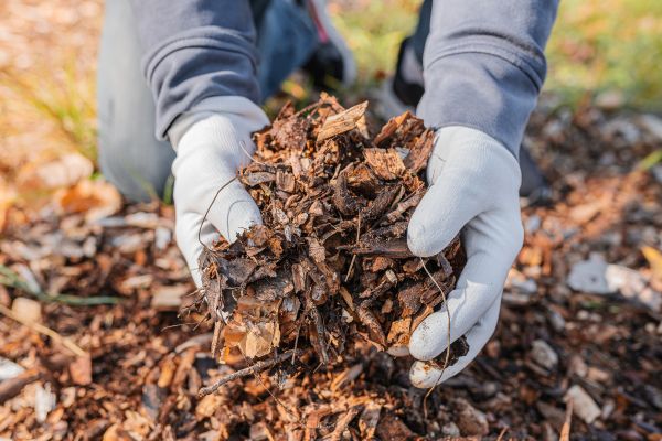 Shredded Mulch Installation in Kaysville