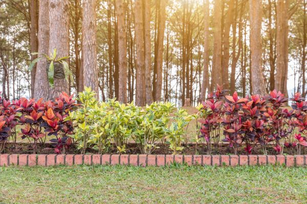 Small Garden Landscaping in Kaysville