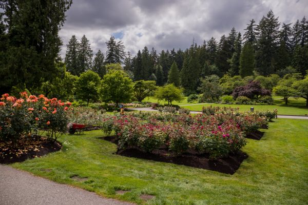 Flower Garden Landscaping in Kaysville