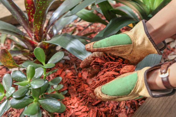 Residential Mulching in Kaysville