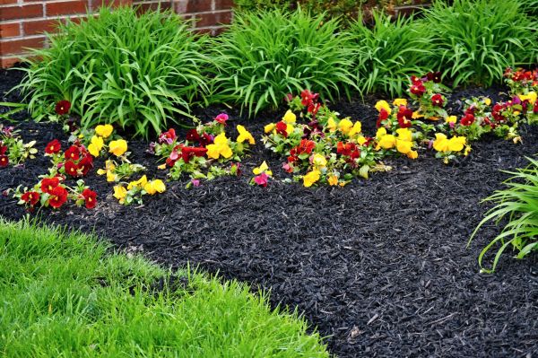Apartment Mulching in Kaysville