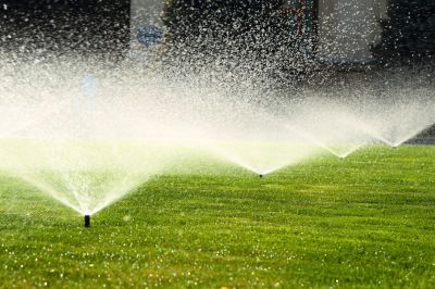 Lawn Sprinkler in Snow